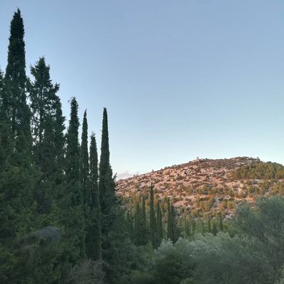 Καισαριανή