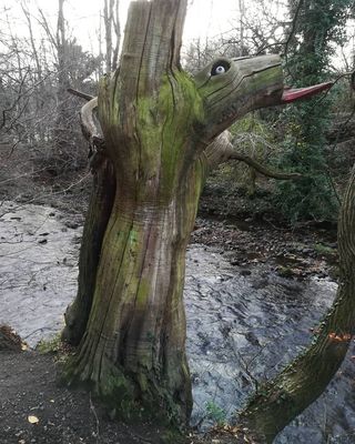 #waterofleithwalkway #colinton #treemonster