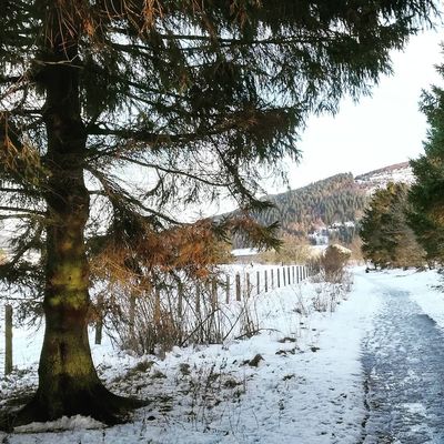 #caddonbank #innerleithen