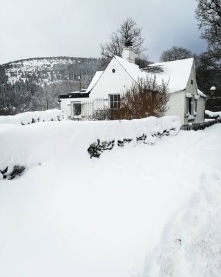 #snowday #tollhouse #scottishborders #thebeastfromtheeast