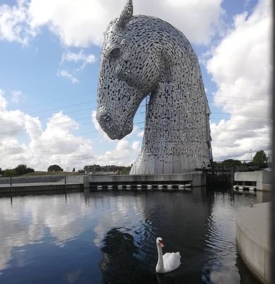 #kelpies #swans #scotland