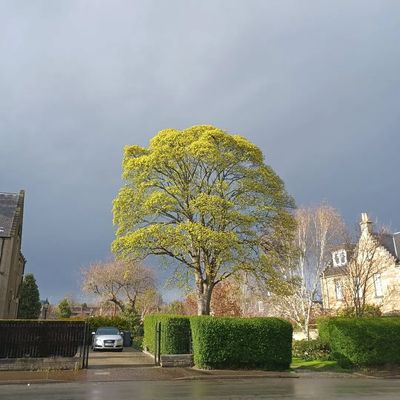 That Scotland thing where the skies are dark grey but you're standing in dazzling sunlight anyway 😅